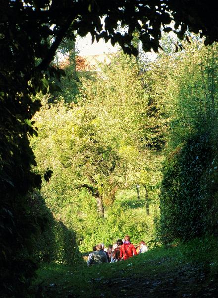25ste Herfstwandeling van Armand en Judith op 23-10-2011 (49).jpg